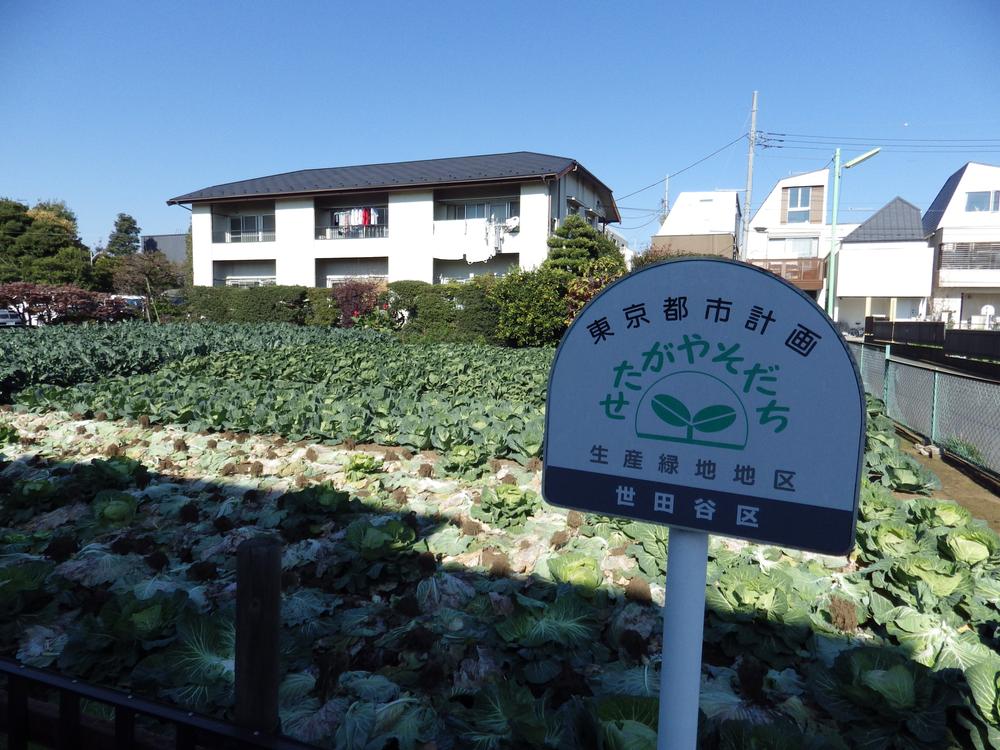 Streets around. And the journey from the 5m nearest station to close production green space district have been wrapped in a cherry tree that has also become a place name, Around Honchi the environment because there are a lot of production green space district is splendid good location