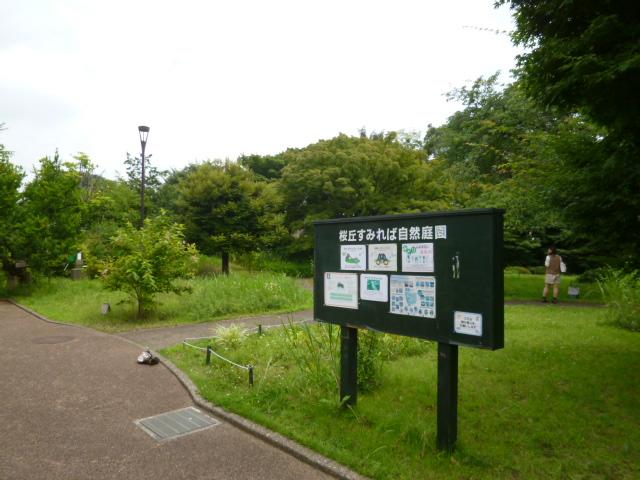 park. Sakuragaoka violet if 500m to the natural garden