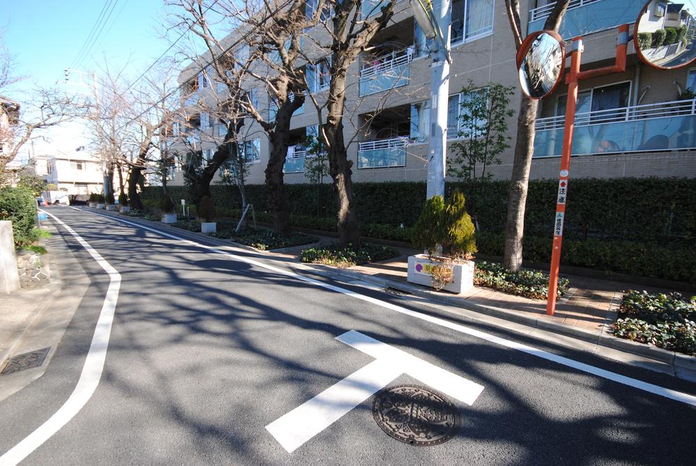 Streets around. Property is cherry blossoms are beautiful street close.