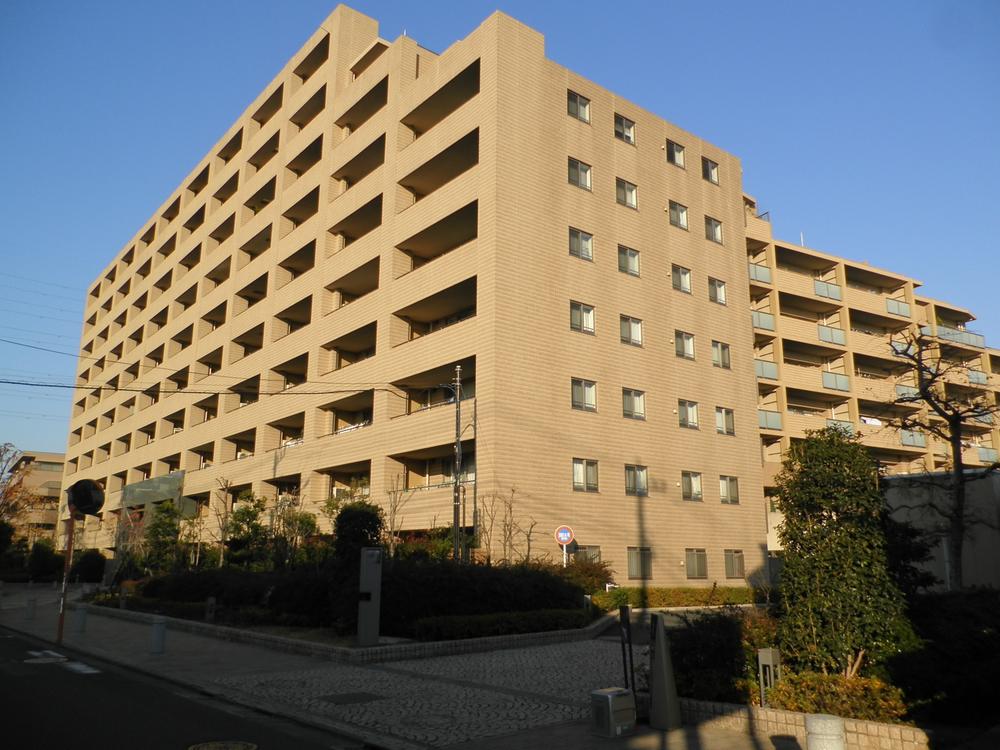 Local appearance photo. Local (12 May 2013) Shooting