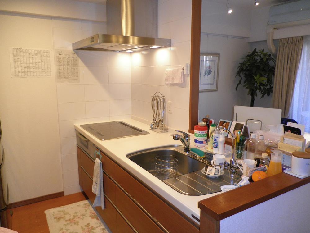 Kitchen. Indoor (12 May 2013) shooting (3-neck IH)