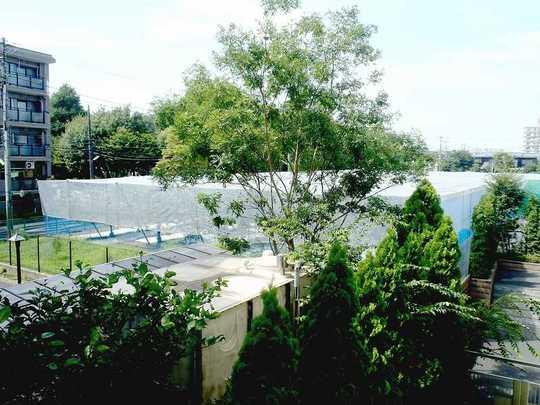 Setagaya-ku, Tokyo Chitosedai 4