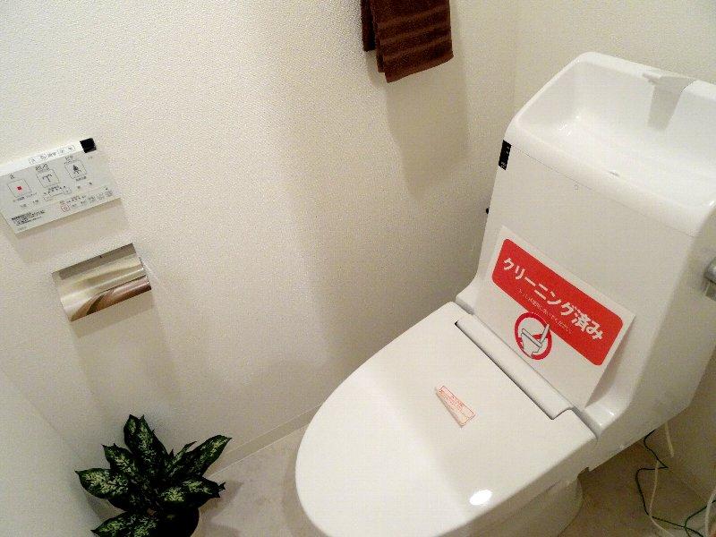 Toilet. Indoor (11 May 2013) Shooting Hot water cleaning function with toilet seat