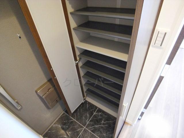 Entrance. Footwear purse