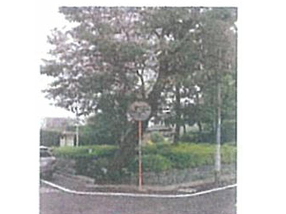 park. Nakamachi 10m up to 4-chome park