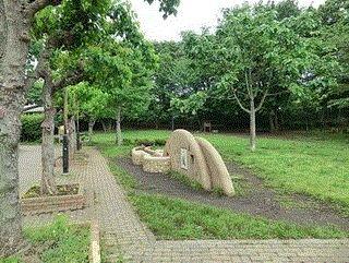 Other local. Surrounding environment