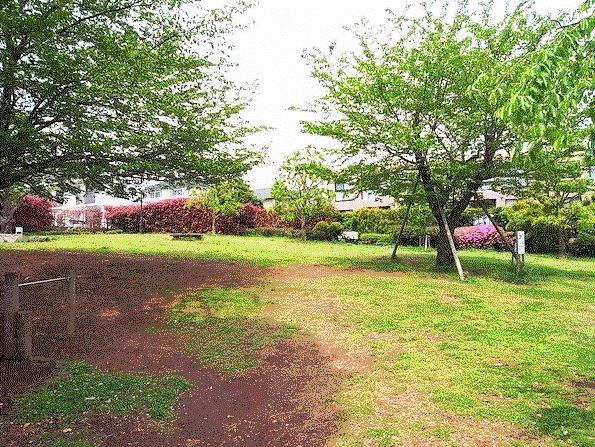 Other local. Surrounding environment