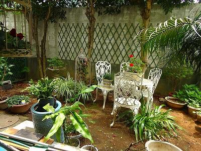 Garden. Private garden