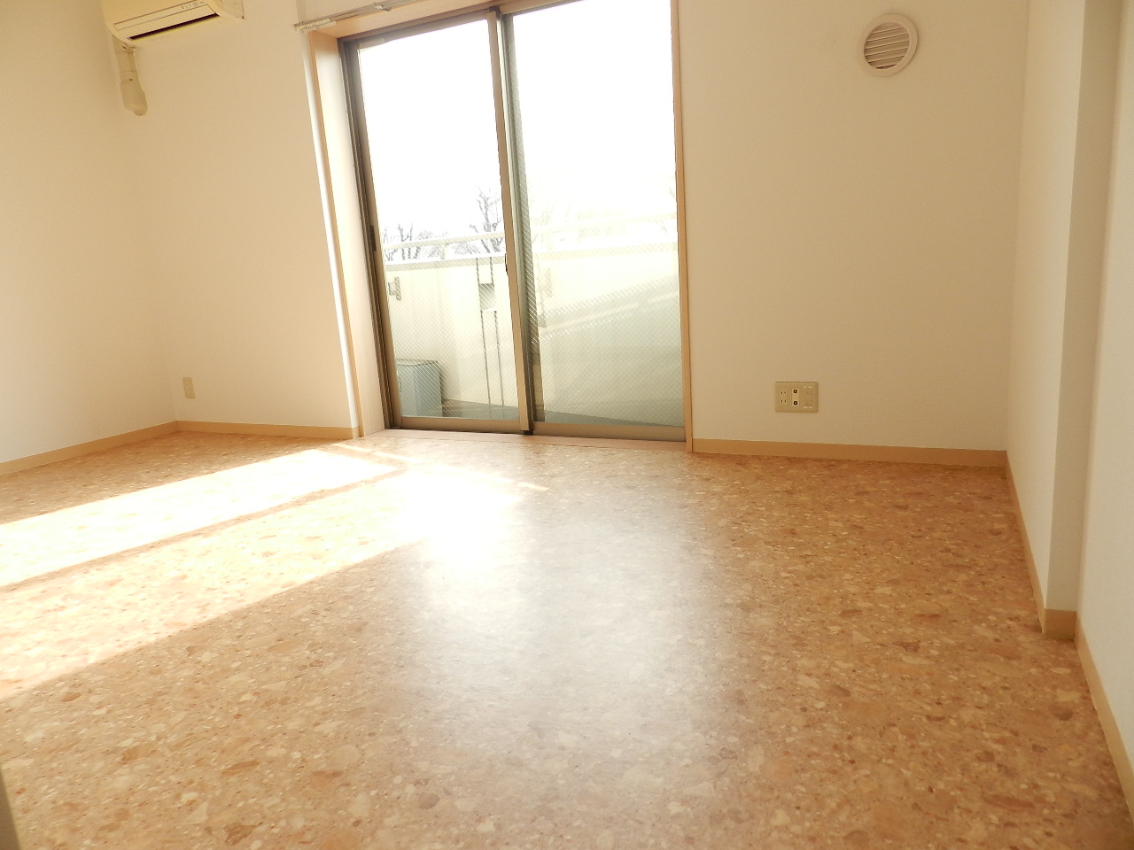 Living and room. Sunny Two-sided lighting