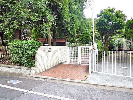 Local land photo. appearance