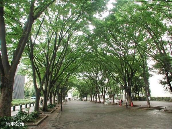 park. 618m until the horse events public garden