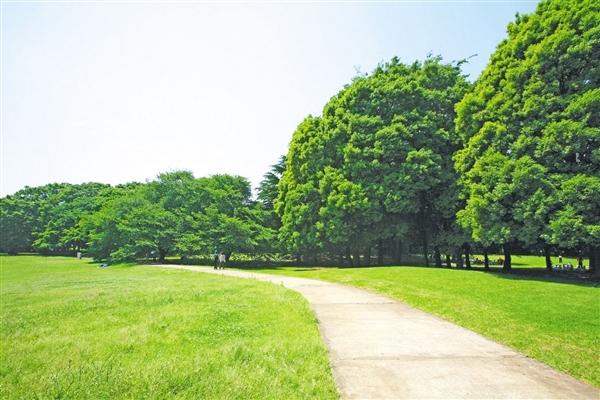 park. Until Kinutakoen 900m