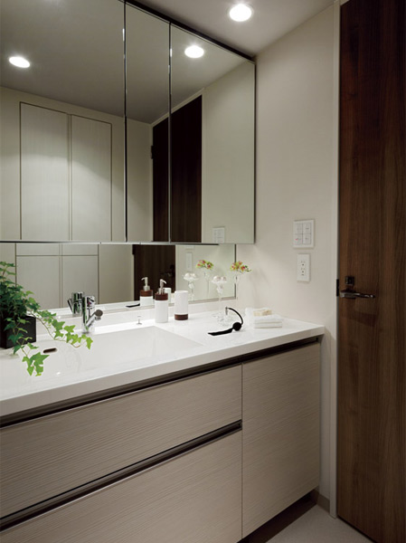 Bathing-wash room. Powder Room