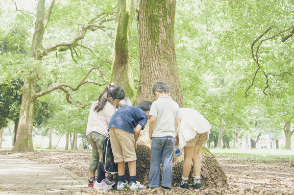 When the curious children gather, "Adventure" begins with a little every day