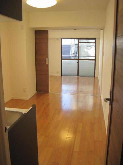 Living. Indoor (11 May 2013) Shooting ■ Appearance of DK and Western-style about 4.5 Pledge