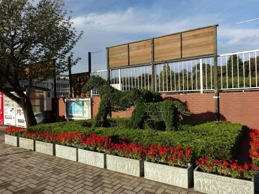 Other Environmental Photo. 514m until the horse events public garden