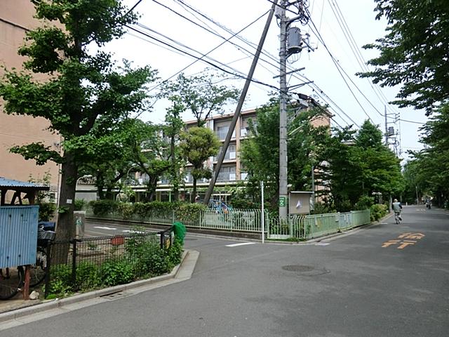 kindergarten ・ Nursery. 236m to Setagaya Ward Hachimanyama nursery