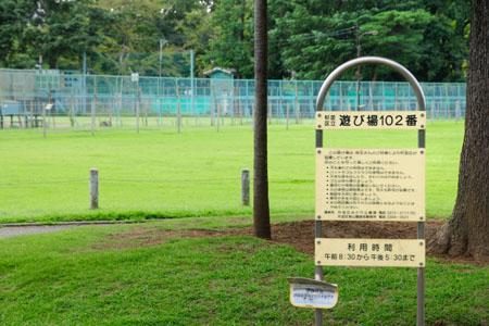 Other Environmental Photo. 1304m until the playground No. 102