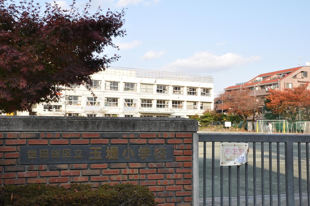Primary school. Ward Tamazutsumi until elementary school 260m
