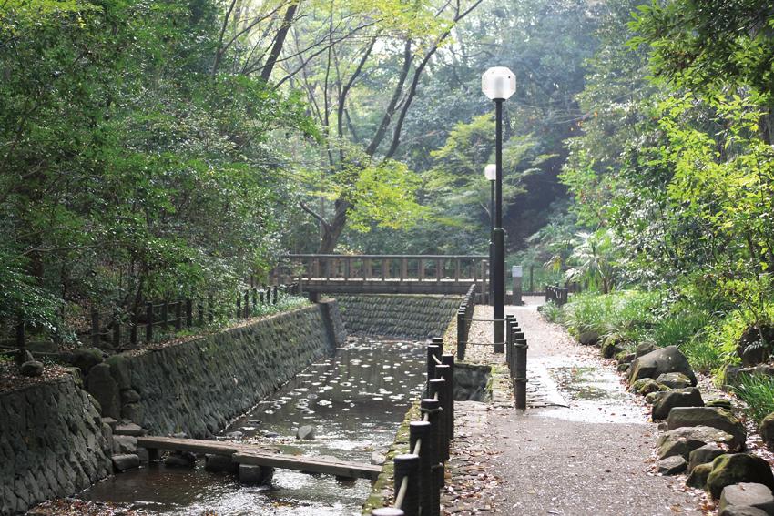 park. Todoroki 720m to the valley