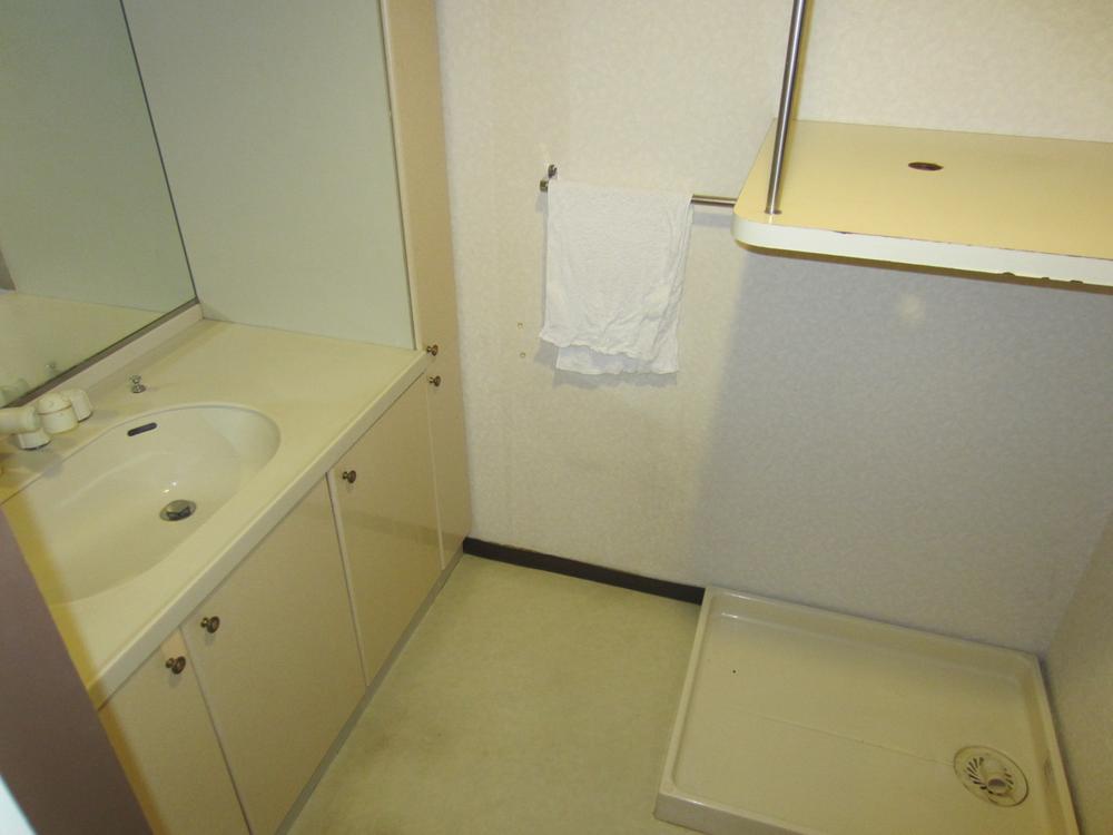 Wash basin, toilet. Popular independent wash basin and water around a woman (2013 October shooting)