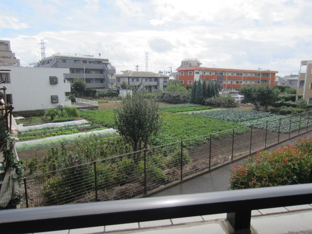 View photos from the dwelling unit. A green overlooking from the balcony landscape (October 2013 shooting)