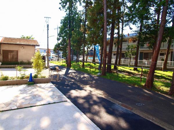 Local photos, including front road