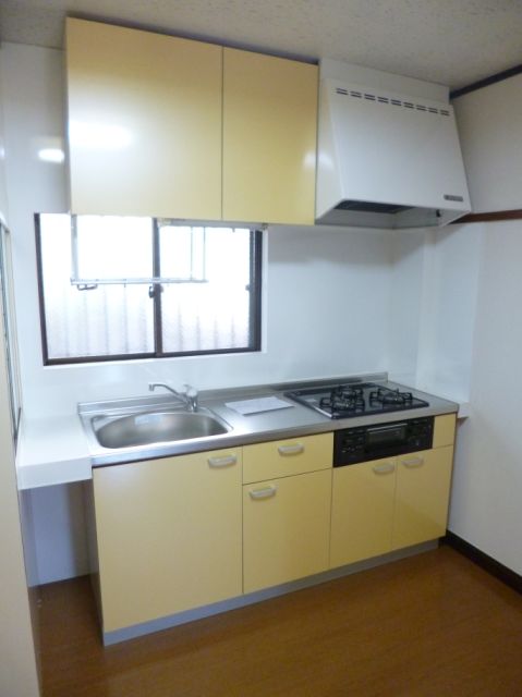 Kitchen. Stylish kitchen