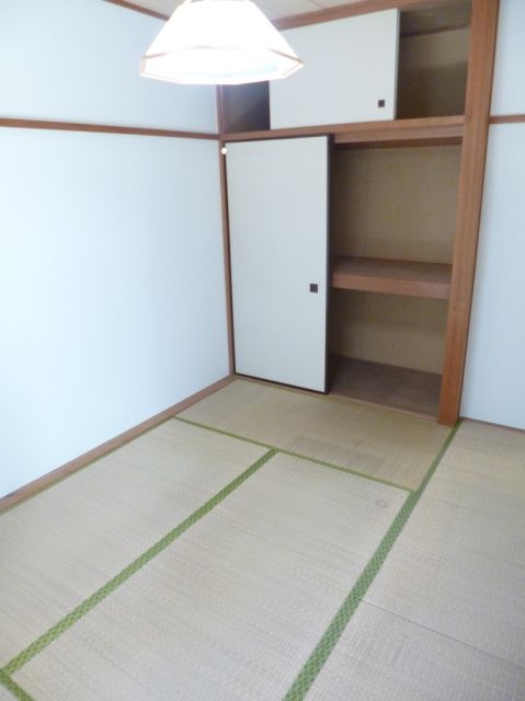 Living and room. Beautiful tatami