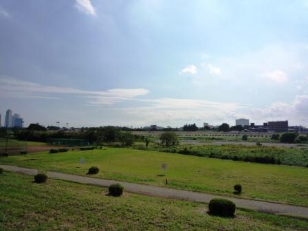 Other. Tama River (June 2013) Shooting