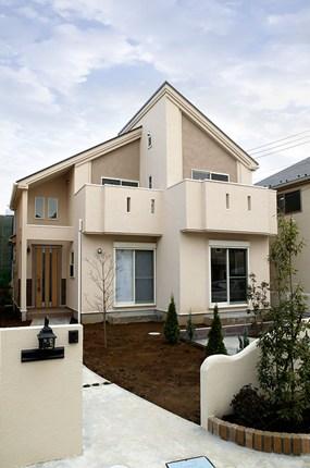 Same specifications photos (appearance). Enforcement example photo