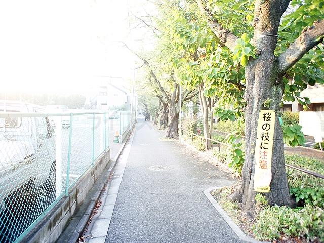 Streets around. 20m until the tree-lined streets