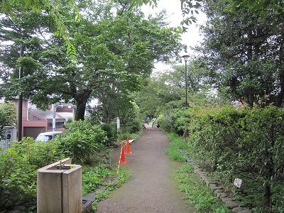 park. Tamagawa 470m to the second park