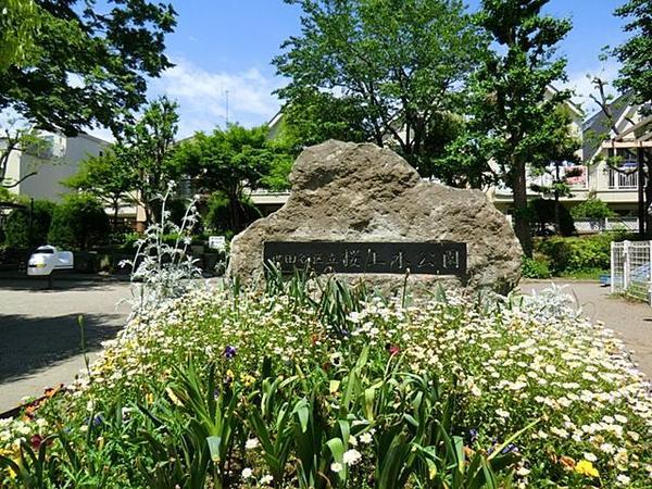 park. 320m until Sakurajosui park