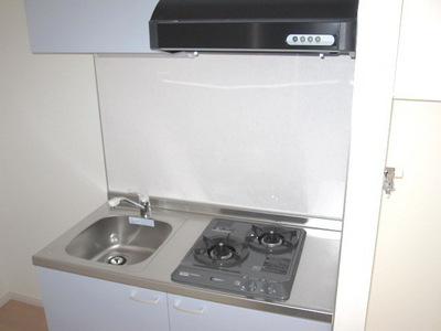 Kitchen. Is a two-burner gas system Kitchen