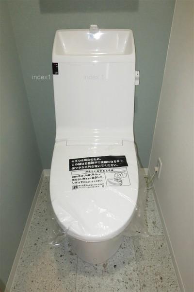 Toilet. Washlet toilet