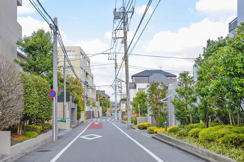 Other. The surroundings are calm living environment. 