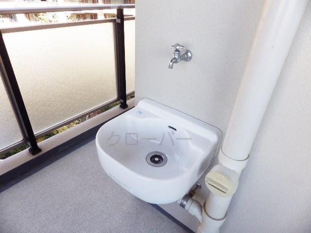 Other introspection. Slop sink