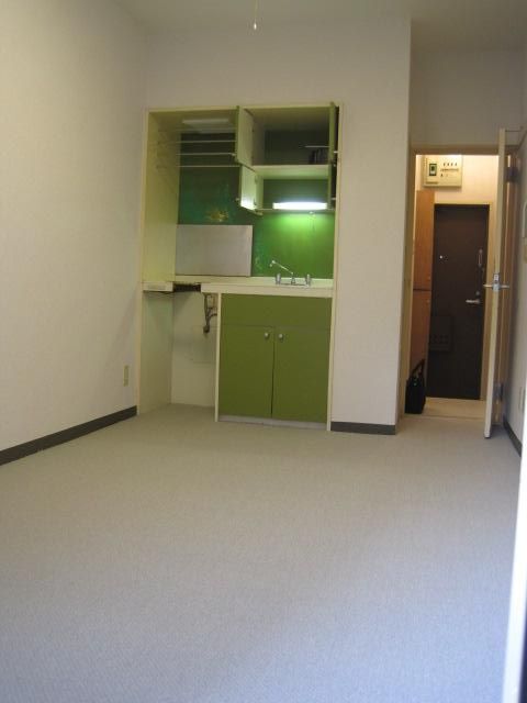 Living and room. Popular carpet of the room.