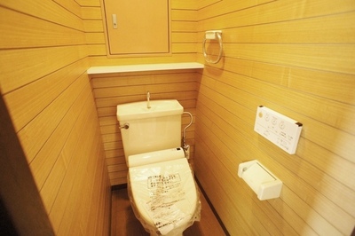 Toilet. Stylish toilet ☆ 