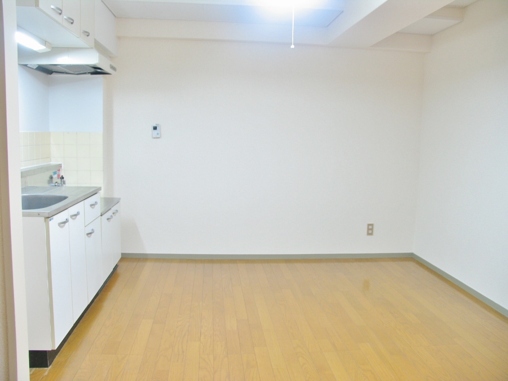 Living and room. ■ Spacious kitchen space (another room image photo)
