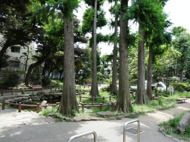 Other local. Local (August 2013) Shooting