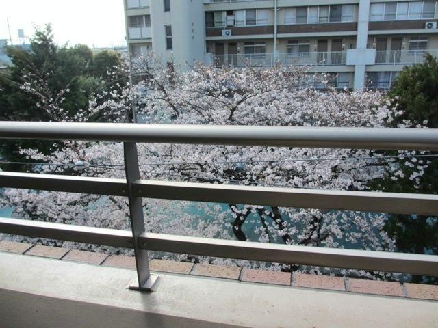 View photos from the dwelling unit. View from the living room