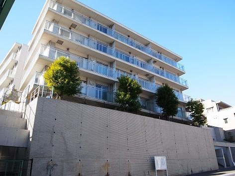 Local appearance photo. 2013 November shooting