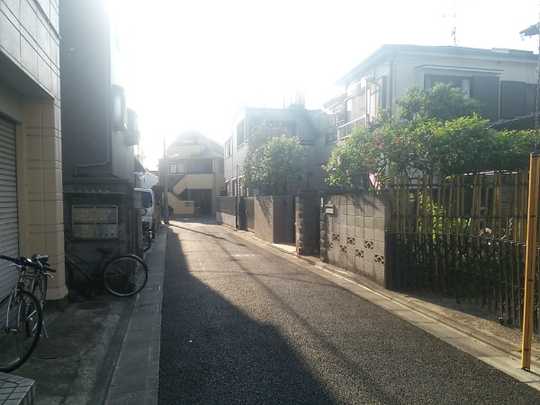 Local land photo. Front road (1)