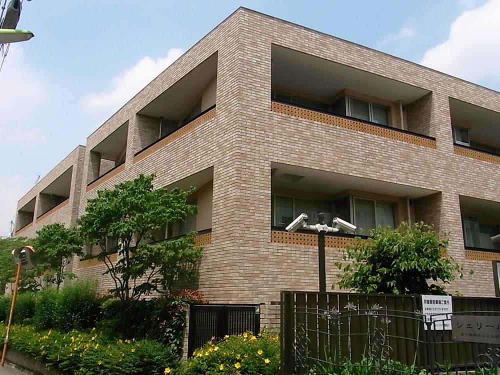 Local appearance photo. Appearance 3