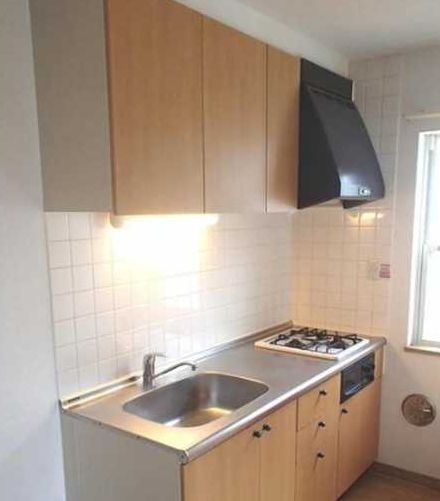 Kitchen. Popular two-necked Gasukitchin