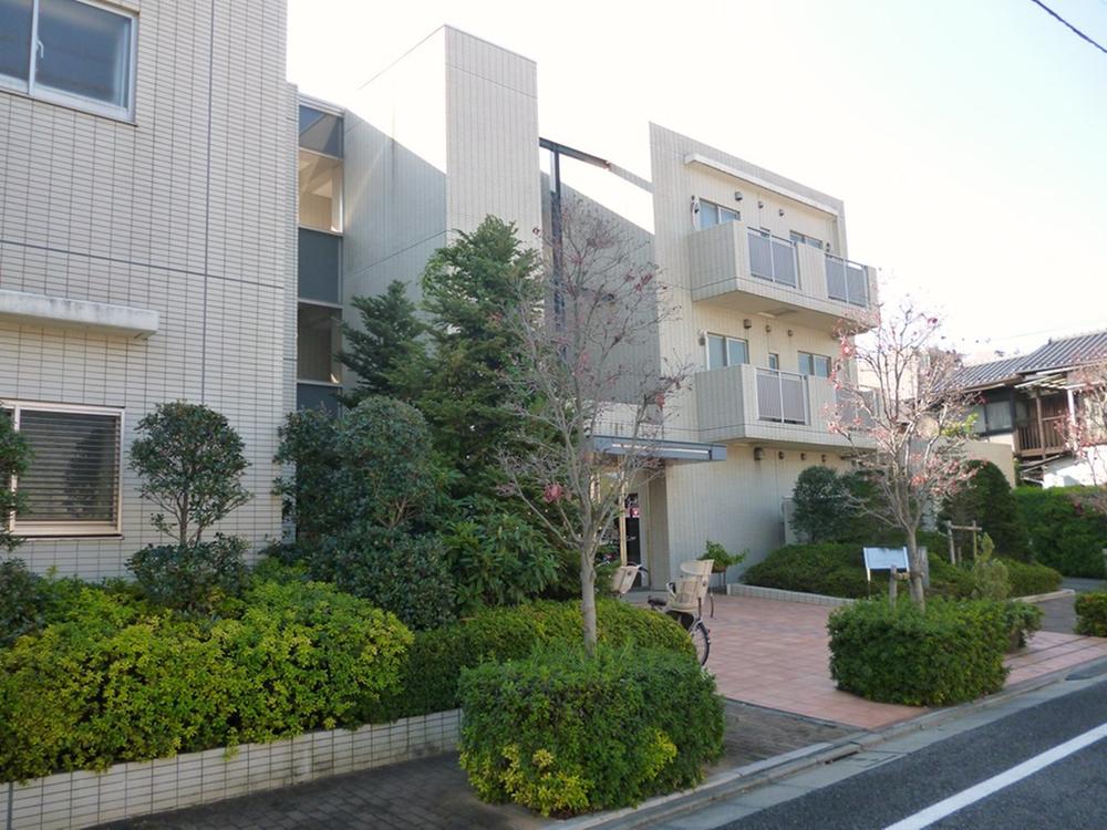 Local appearance photo