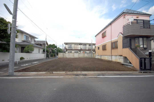 Local land photo. appearance