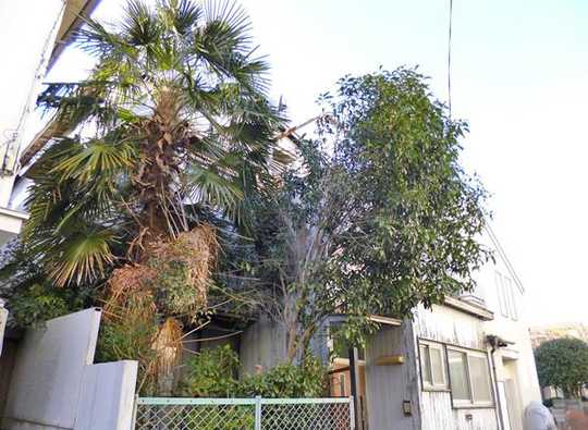 Local land photo. Local 1